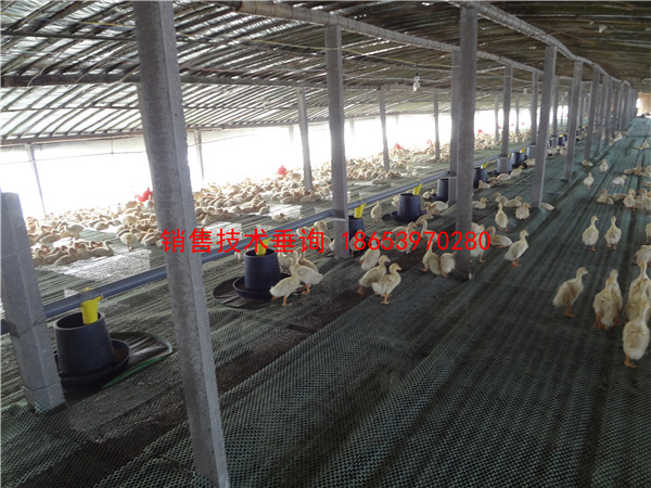 �����Ԅ�(d��ng)���ϙC(j��)