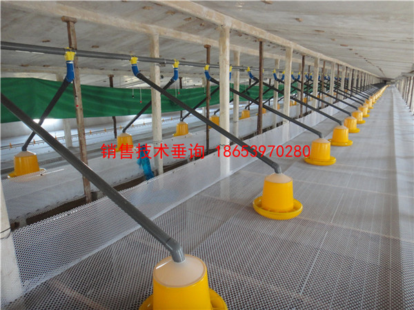 �������Ͼ�