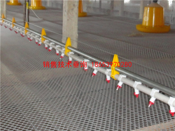 ����ˮ���Ͼ�