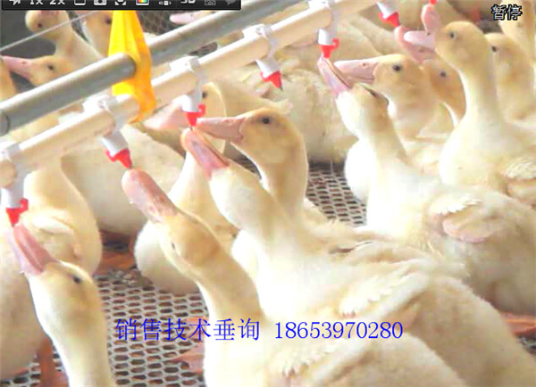 ����ˮ��(xi��n)