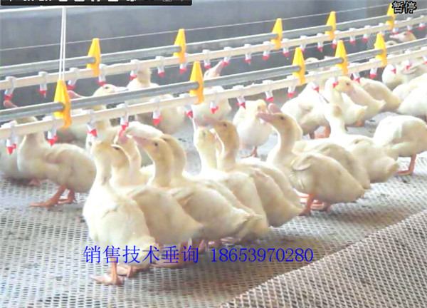 ����ˮ��(xi��n)