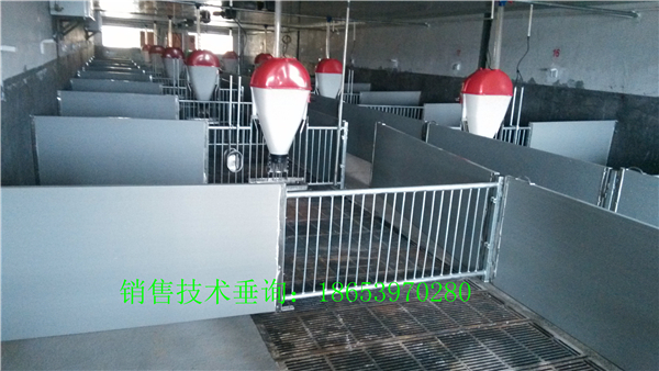 С�i������