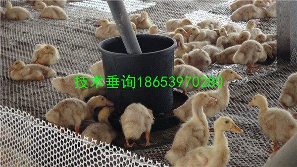 �����B(y��ng)���Ͼ��O(sh��)��