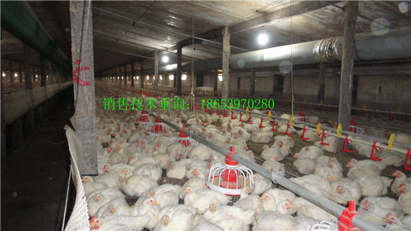 �B(y��ng)�u�Ͼ�