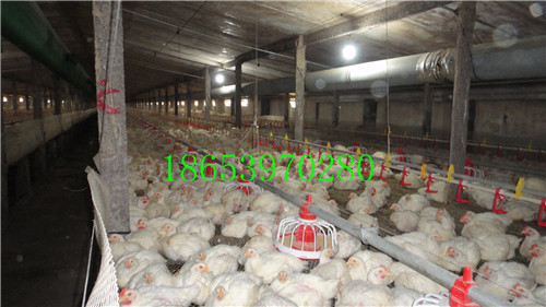 �Ԅӻ��B(y��ng)�u�O(sh��)��