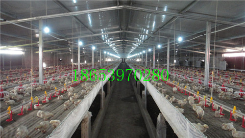 �Ԅӻ��B(y��ng)�u�O(sh��)��