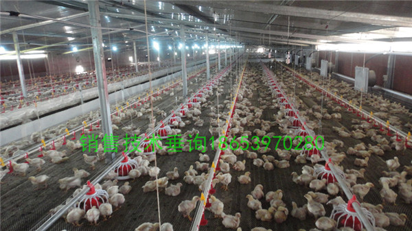 �Ԅӻ��B(y��ng)�u�O(sh��)��