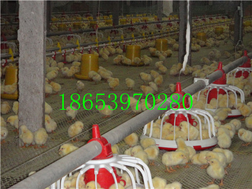 �B(y��ng)�u���Ͼ�