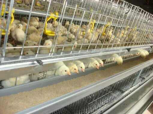 �\�B(y��ng)�u�Ľoˎ����