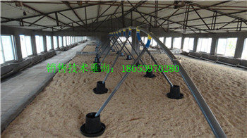 �B(y��ng)�u�O(sh��)��