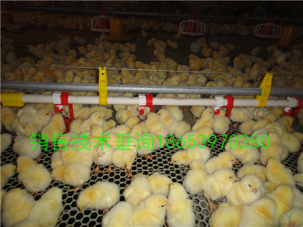 �B(y��ng)�u�O(sh��)�䣺���u�˹��Q��ķ�����B