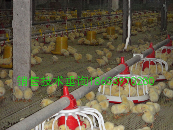 �B(y��ng)�u�r���Ӳ���������(ji��)ʡ�����