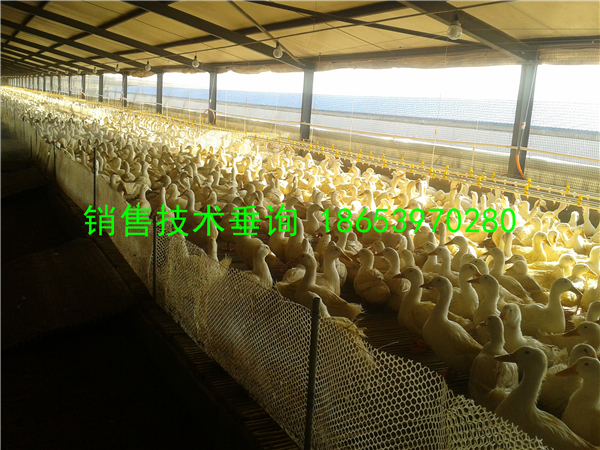 �B(y��ng)�u�O(sh��)�䣺���rǰ�Ĝ�(zh��n)�乤������Щ��