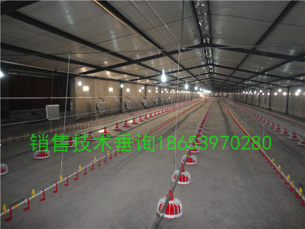 ���u�D(zhu��n)Ⱥ����Ҫ���������ˆ���