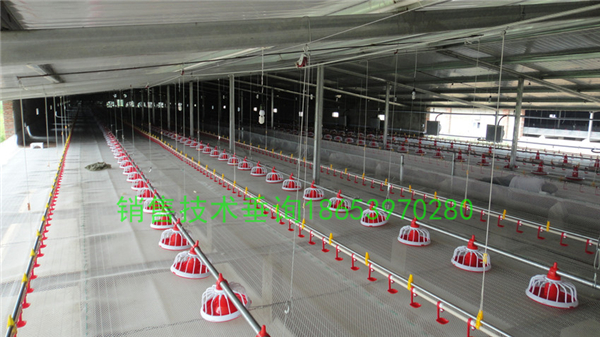 �B(y��ng)�u�O(sh��)�䣺�������׌���u��ë�S�M