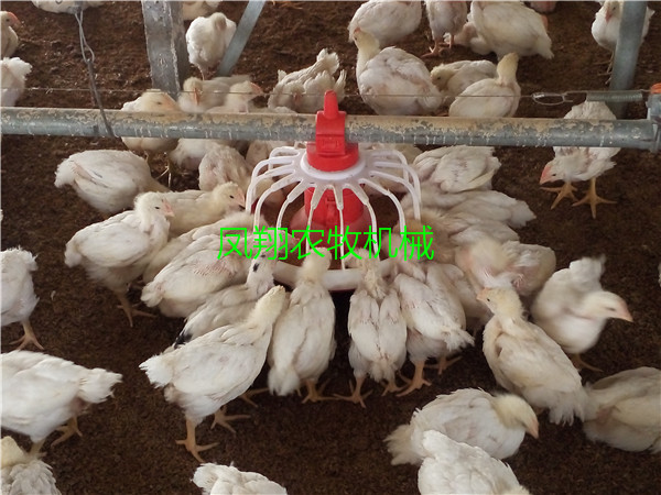 ���u���Ԅ��Ͼ�