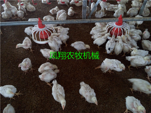 ���u���Ԅ��Ͼ�