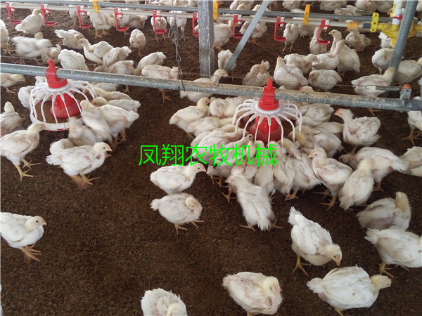 ���u���Ԅ��Ͼ�