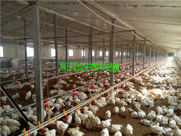 �B(y��ng)�u���Ԅ�(d��ng)ˮ���Ͼ�