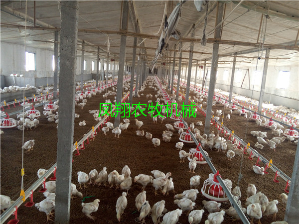 �B(y��ng)�u���Ԅ�(d��ng)ˮ���Ͼ�