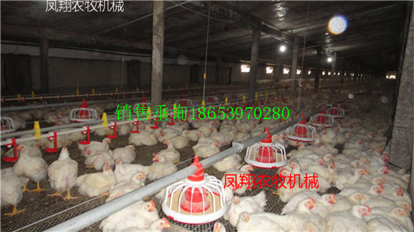 �B(y��ng)�u�O(sh��)���B(y��ng)�u�������ʡ�X