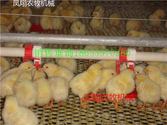 �B(y��ng)���u���ض�����ȡ��B(y��ng)ֳ�ܶȼ�����Ҫ�����