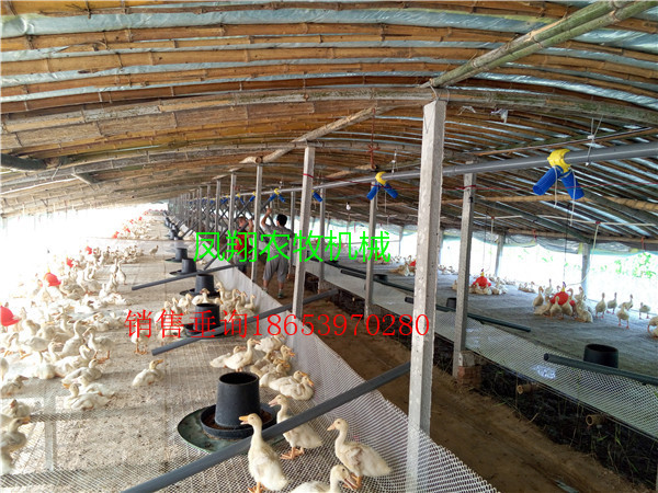 �����Ͼ����b����