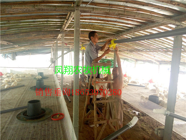 �����Ͼ����b����