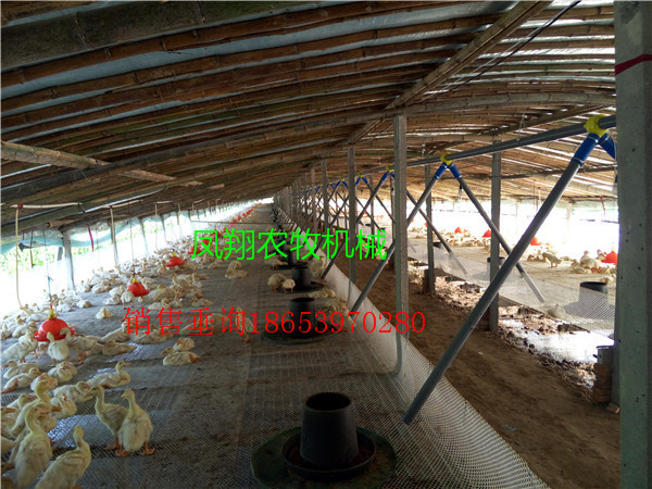 �����Ͼ����b����