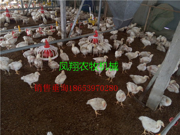 �B(y��ng)�u���O(sh��)��S�ң��M���u���B(y��ng)ֳ�ИI(y��)���Ҫ���׵Ďׂ��ИI(y��)����