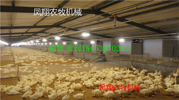 �B(y��ng)�u����