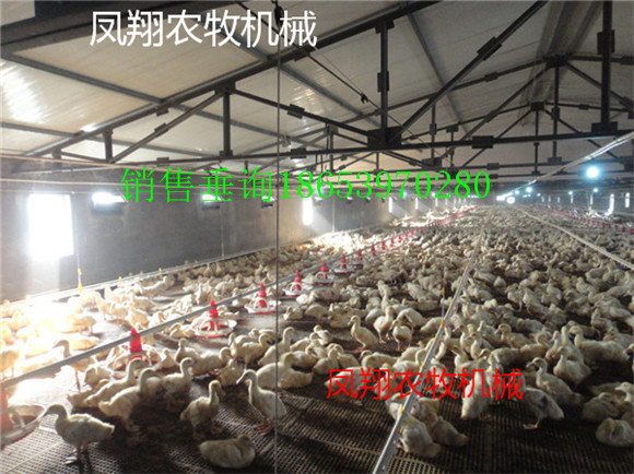 �B(y��ng)���O(sh��)��S�ҽ�������b�eС�r���Ĺ�ĸ����