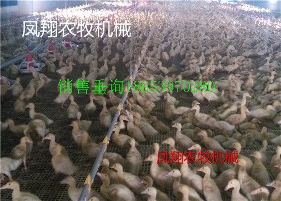 �B(y��ng)���O(sh��)��S�ң�Ҏ(gu��)ģ�B(y��ng)���ӵĳ�Ҋ���}�����F(xi��n)����