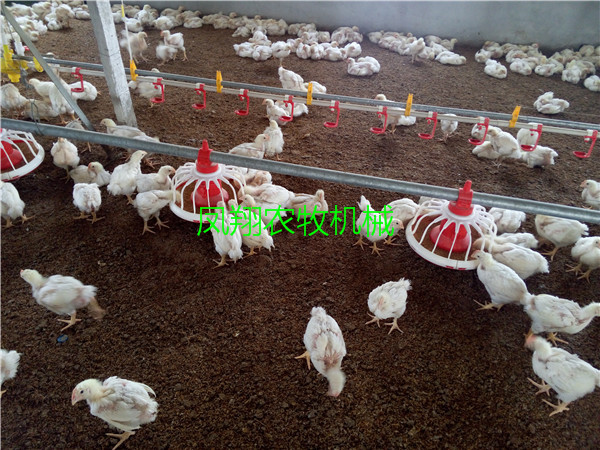 ȫ�Ԅӻ��B(y��ng)�u���O(sh��)��S��