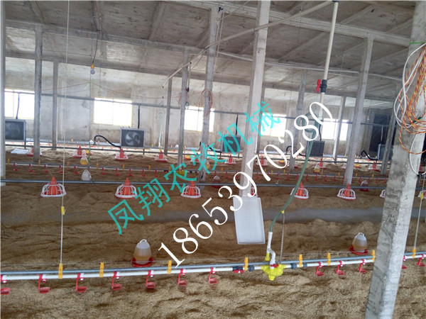 �B(y��ng)�u�O(sh��)��