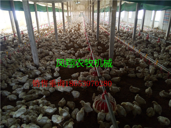 �B(y��ng)�u�O��