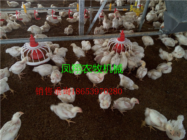 �B(y��ng)�u�O(sh��)��