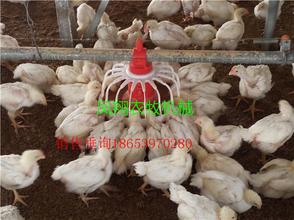 �B(y��ng)�u�O(sh��)��