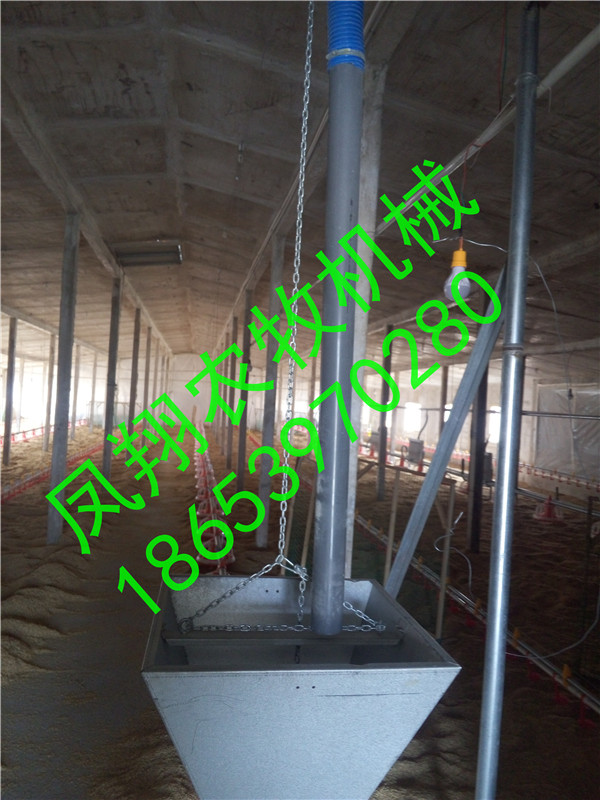 �B(y��ng)�u�O(sh��)��