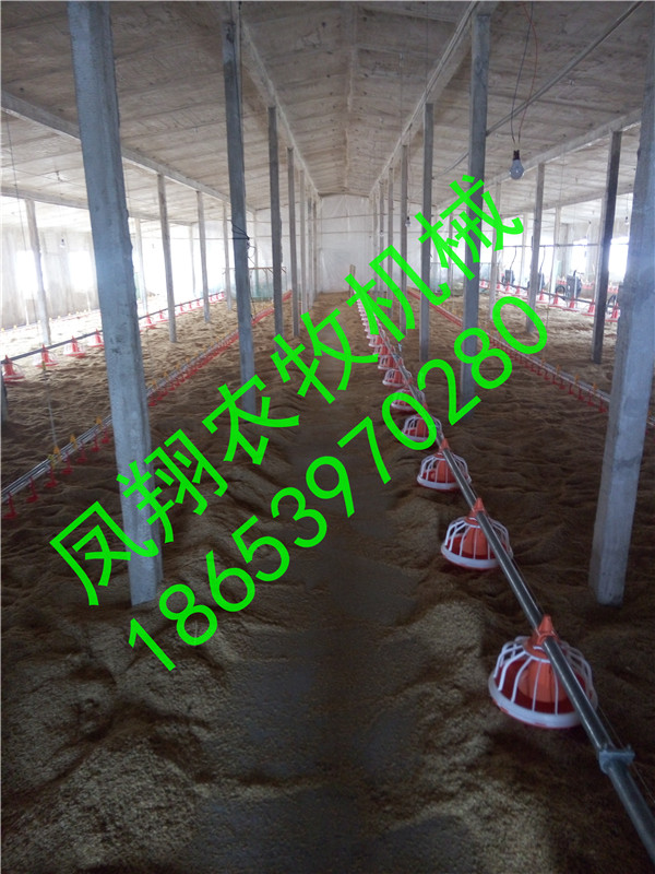 �B(y��ng)�u�O(sh��)��