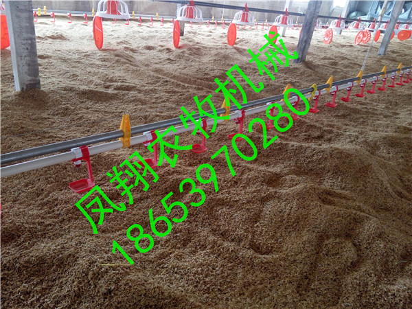 �B(y��ng)�u�O(sh��)��