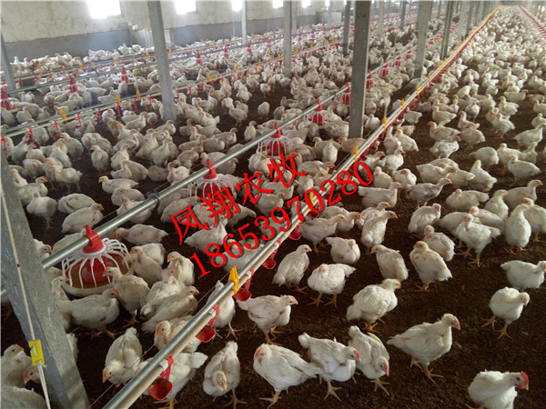 �B(y��ng)�u�Ͼ�