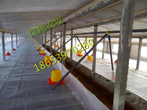 �B(y��ng)�����Ͼ�