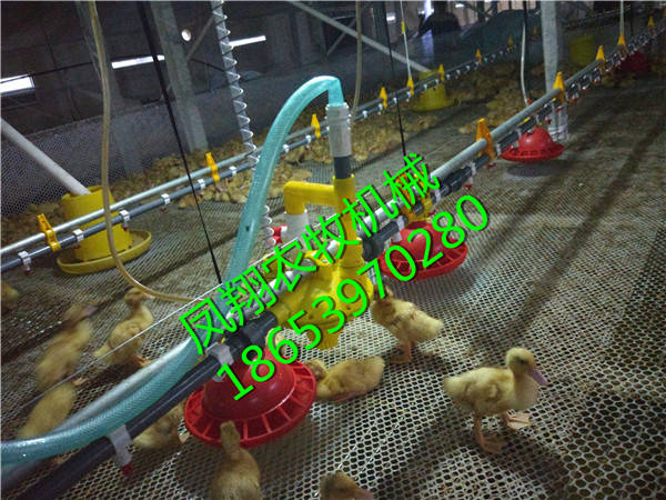 �B(y��ng)���O(sh��)��