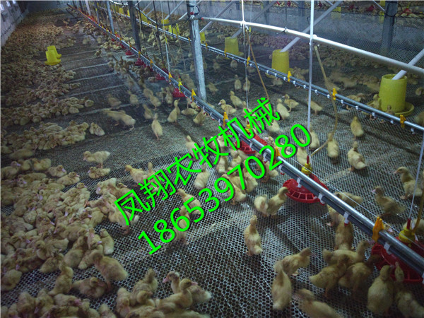 �B(y��ng)���O(sh��)��S��