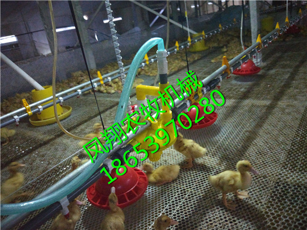 �B(y��ng)�u�O(sh��)��