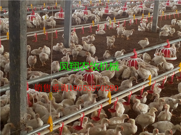 �B(y��ng)�u�O(sh��)��