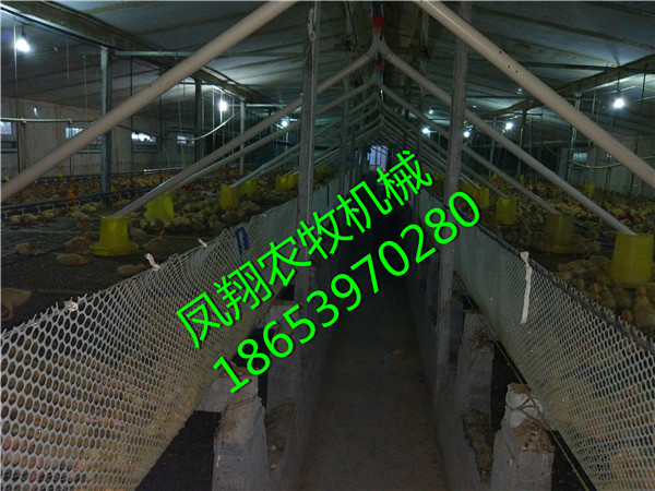 �B(y��ng)���O(sh��)��