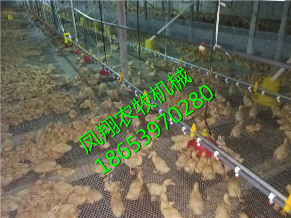 �B(y��ng)���O��