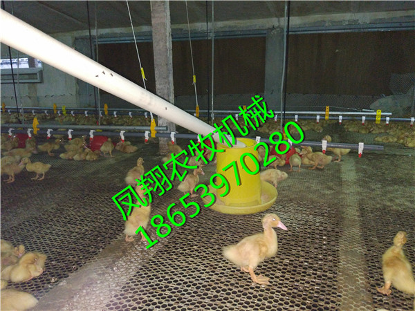 �B(y��ng)�Z�O(sh��)��